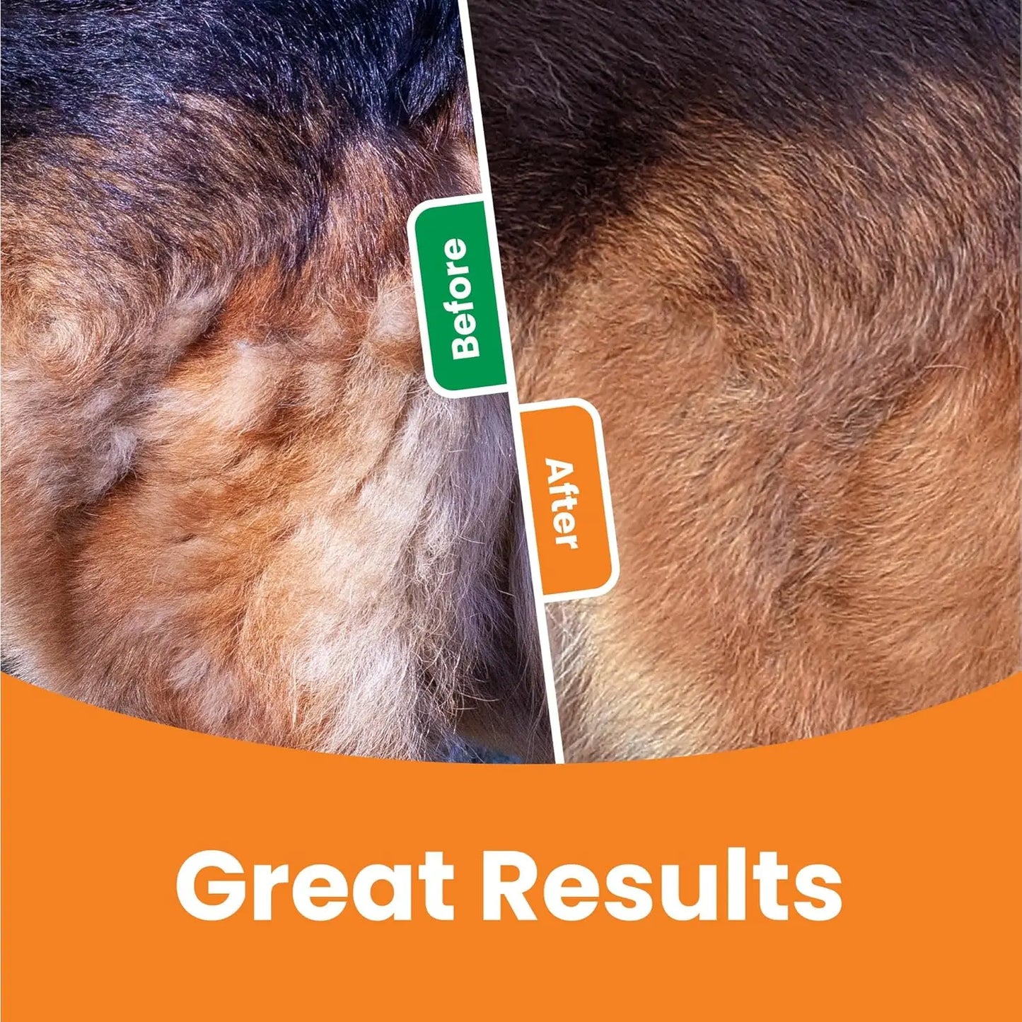 Premium Pet Grooming Brush🐕🐈